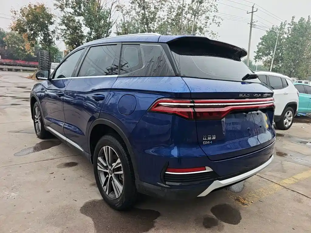 BYD Pro New Energy — миниатюра 5