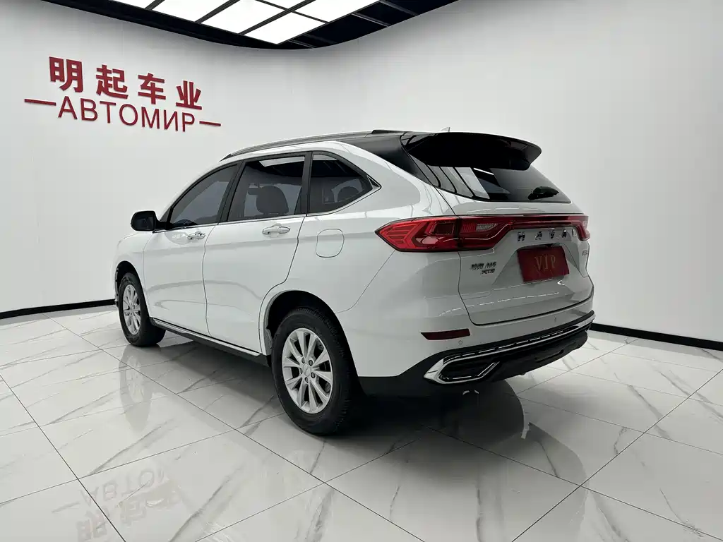 Haval M6 2023 PLUS 1.5T DCT Luxury
