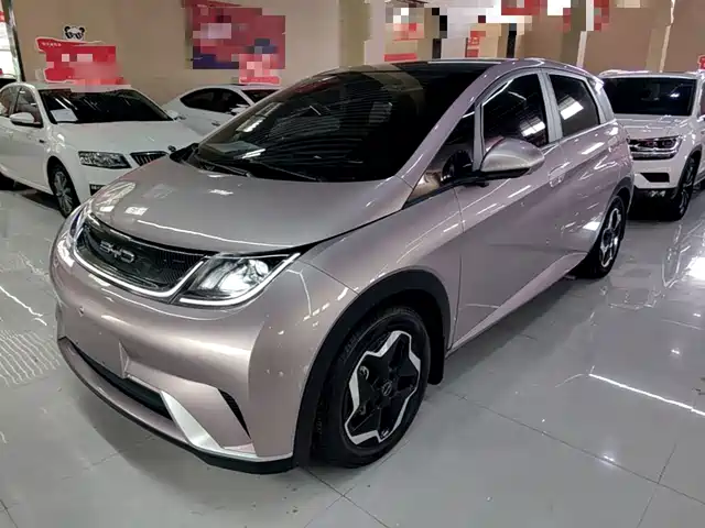 2023 BYD Dolphin