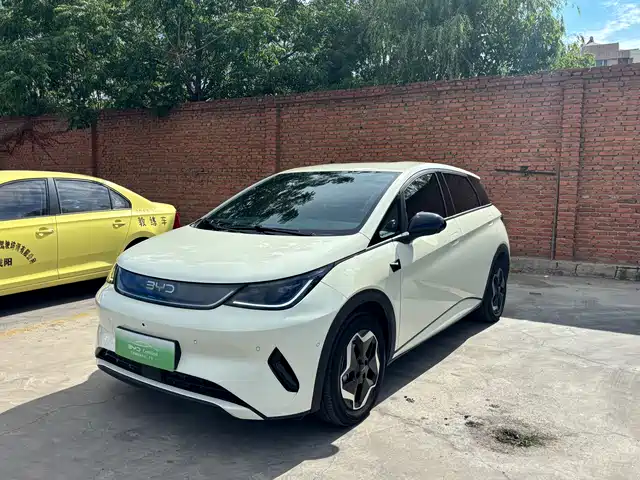 2025 BYD Dolphin
