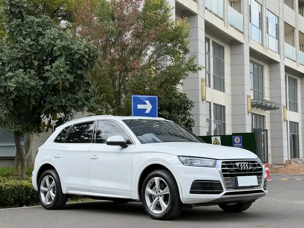 Audi Q5L 40 TFSI Glory Enjoy Progressive Type China VI, фото 3