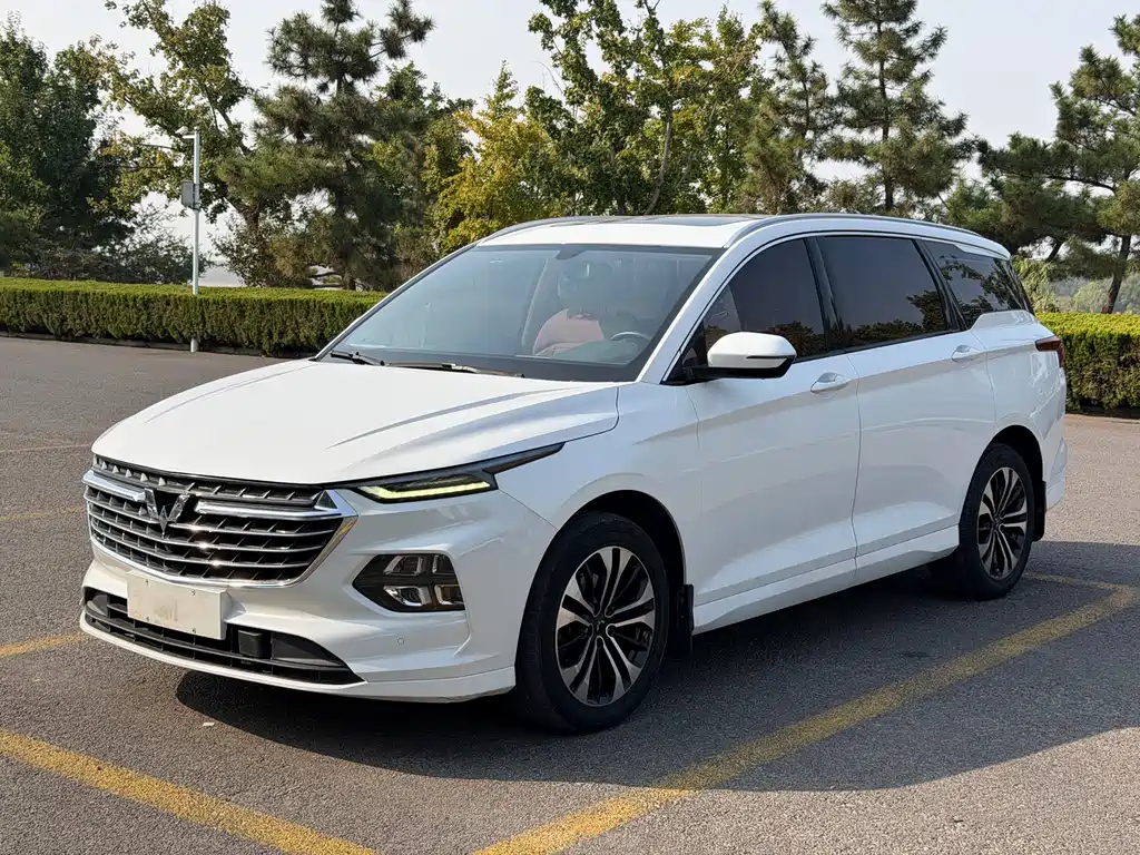 Wuling Victory — миниатюра 3