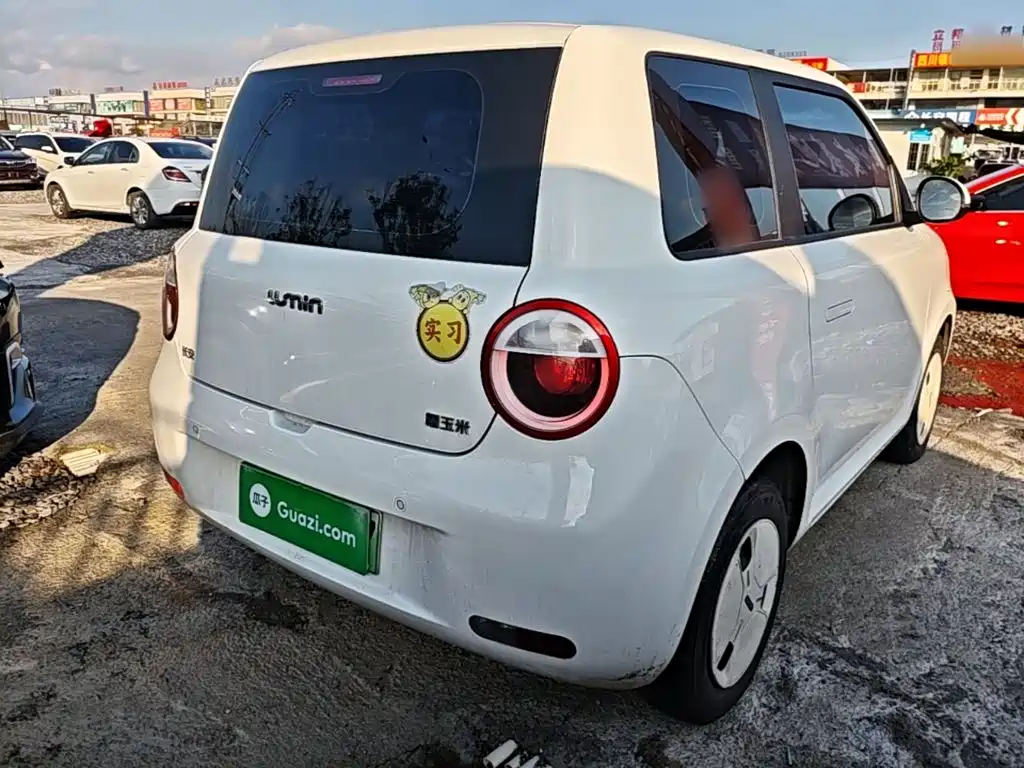 Qiyuan Lumin — миниатюра 7