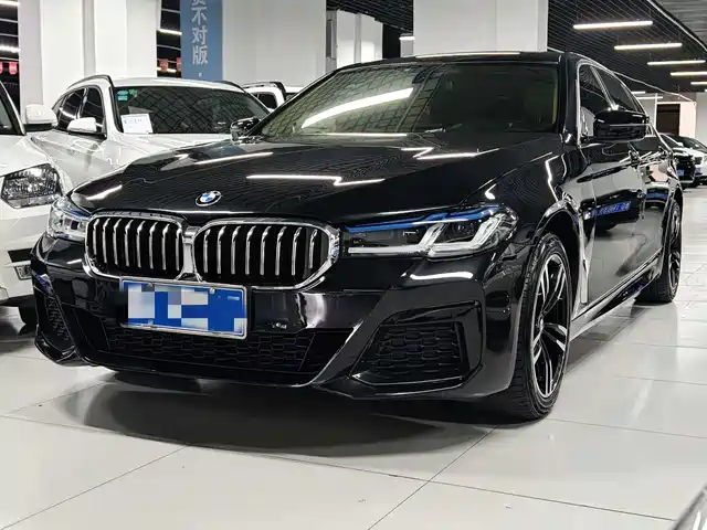 Bmw Bmw 5 Series Bmw 5 Series 2012 523li Leading Model — фото