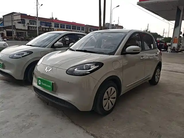 2023 Wuling Motors Binguo