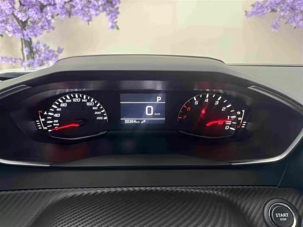Peugeot 2008 - фото 17