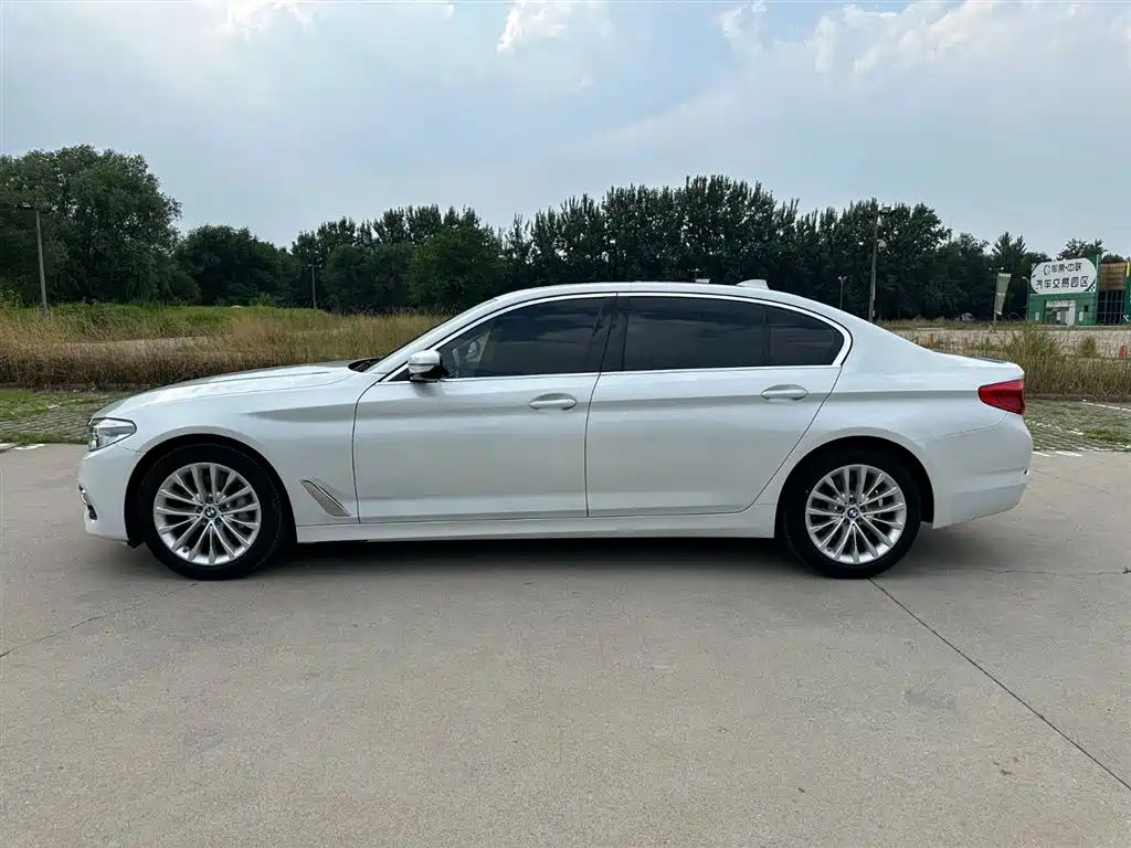 BMW 5 Series 5 2020 530Li Lead Luxury
