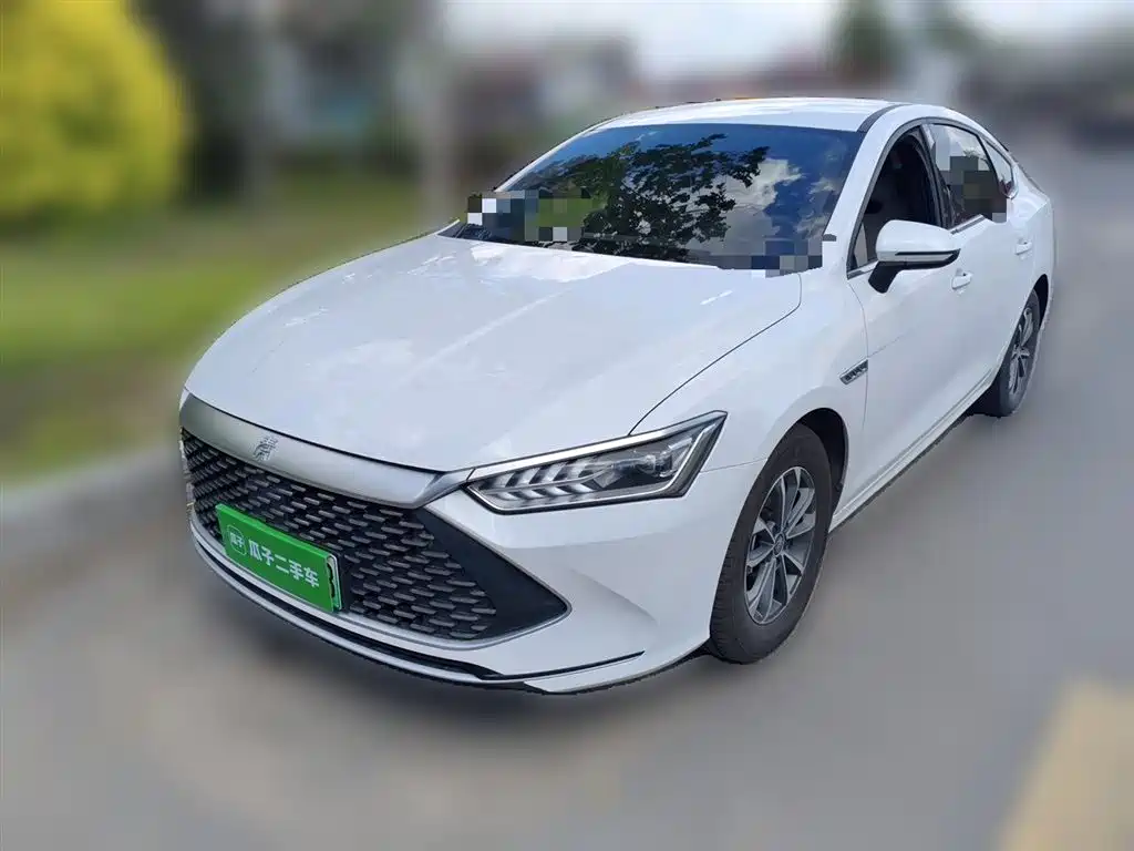 BYD Qin Plus PLUS 2023 Champion DM-i 55KM Lead