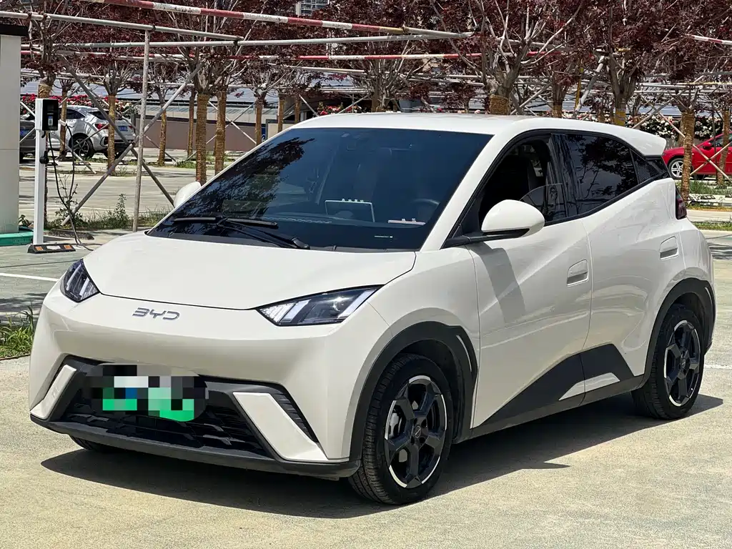 Byd Seagull 2024