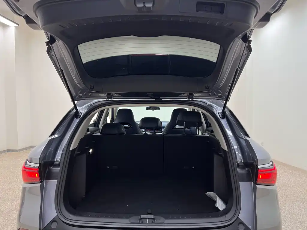 BYD Yuan Plus — миниатюра 21