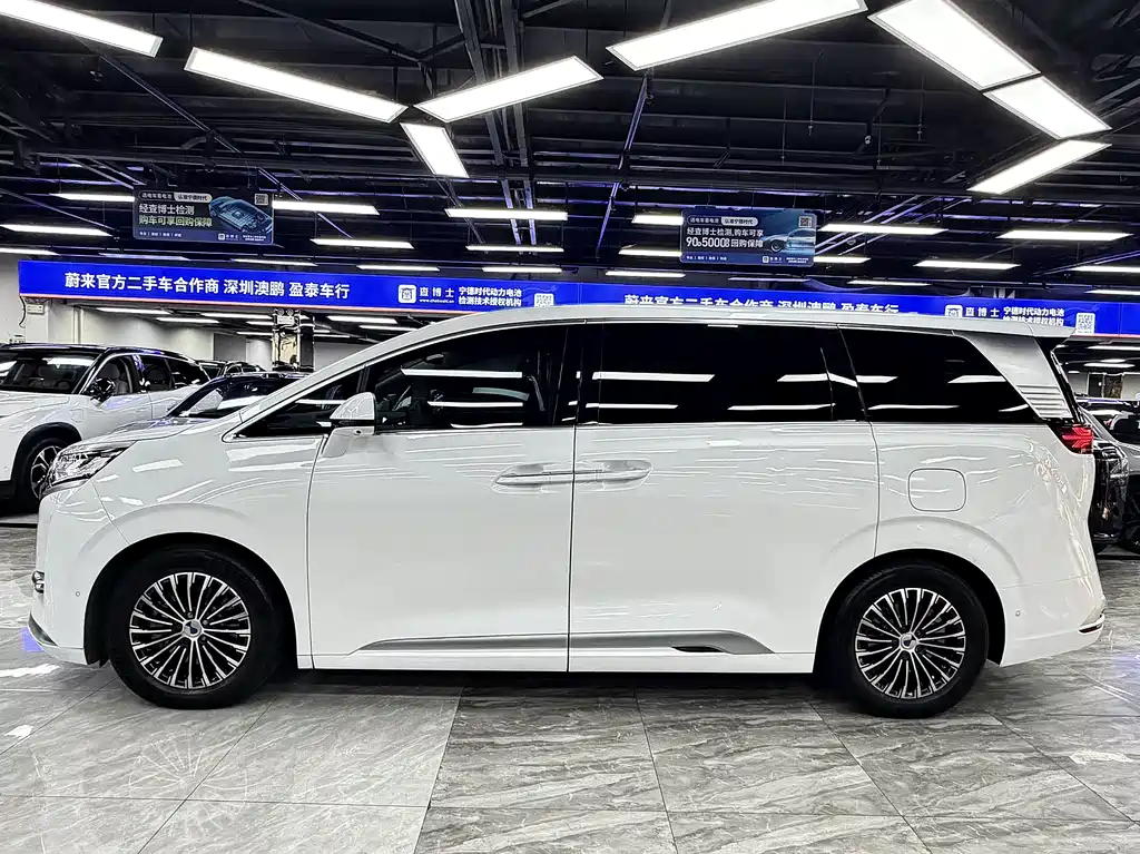 Denza Denza D9 — миниатюра 4