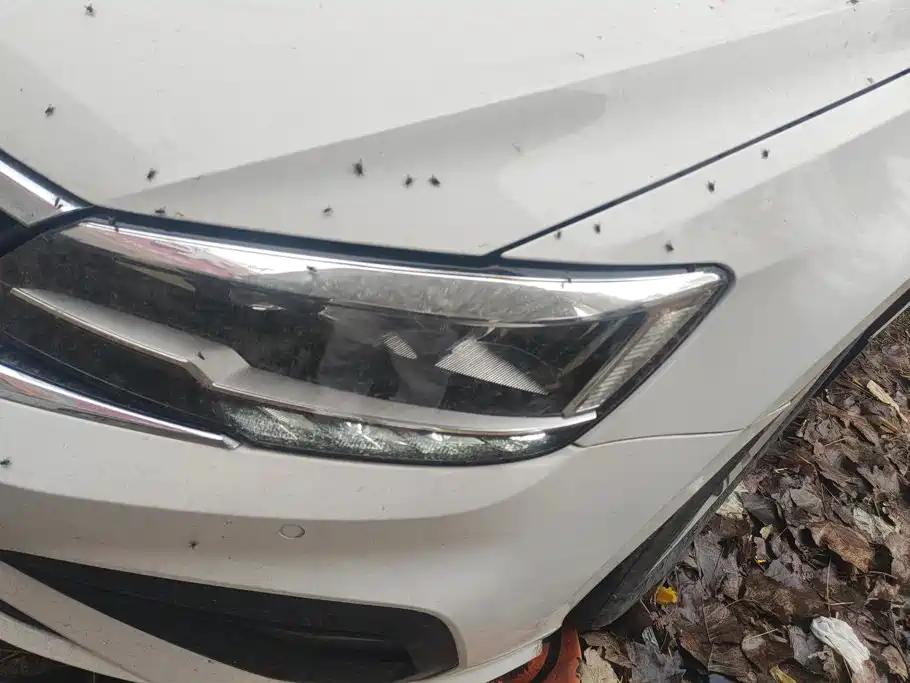 Volkswagen Lamando — миниатюра 5
