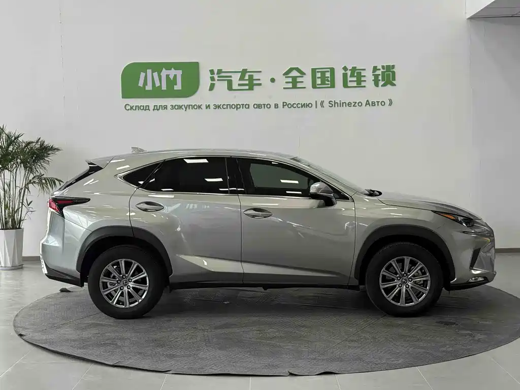 Lexus NX 2020 200 VI