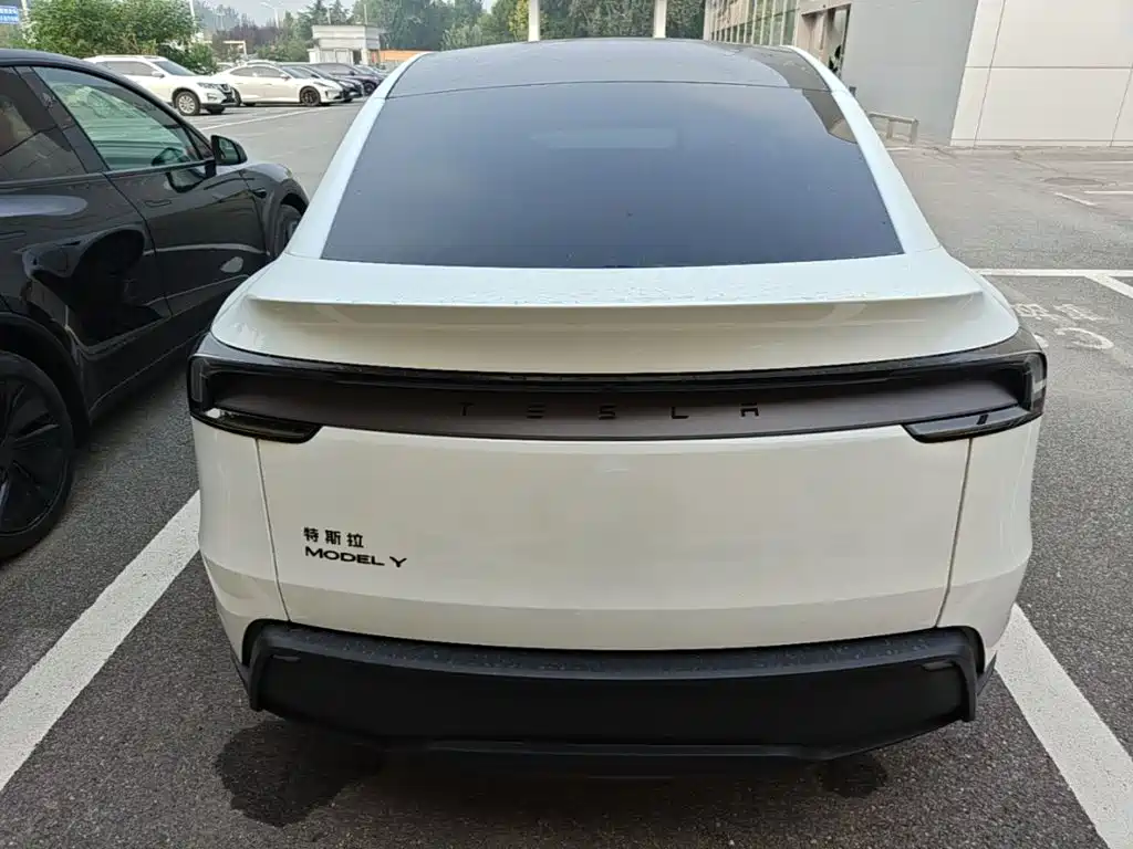 Tesla Model Y — миниатюра 6
