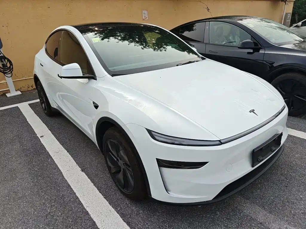 Tesla Model Y — миниатюра 4
