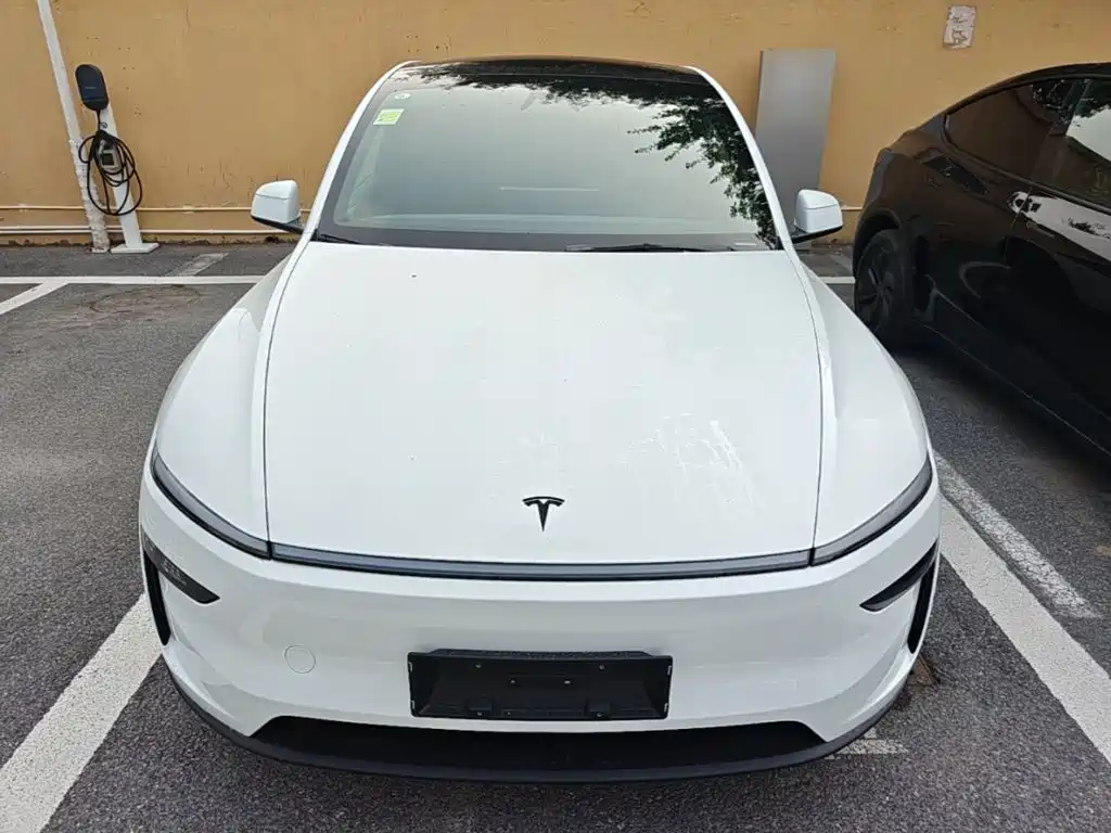 Tesla Model Y — миниатюра 3