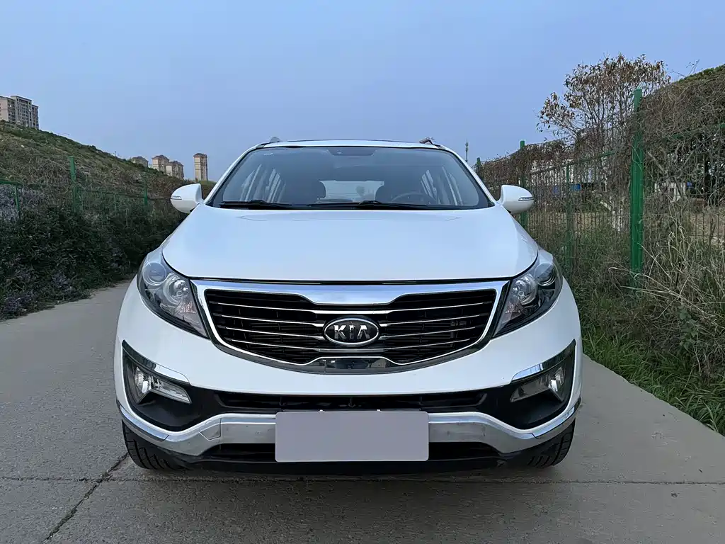 Kia Sportage 2.0L Auto 2WD Edition GLS, фото 3