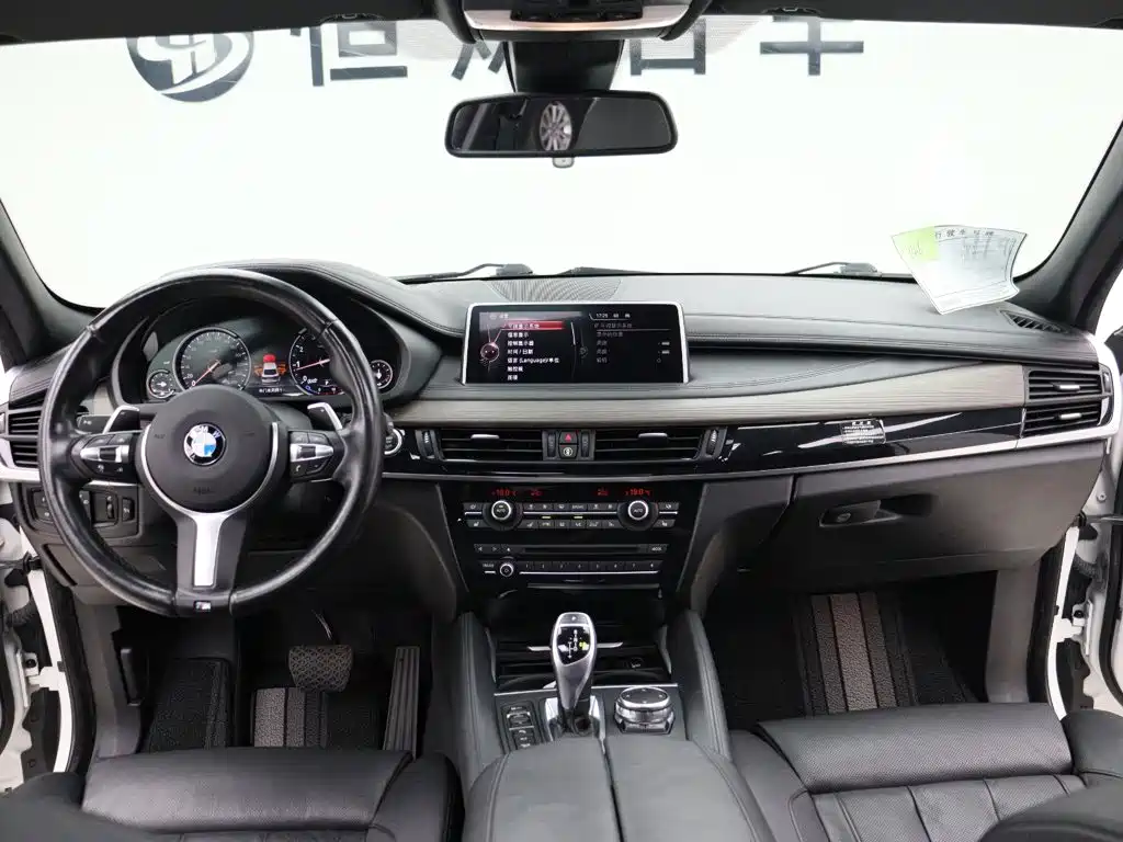 BMW X6 — миниатюра 16