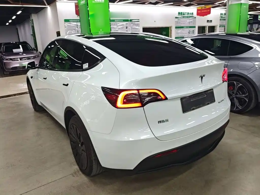 Tesla Model Y — миниатюра 5