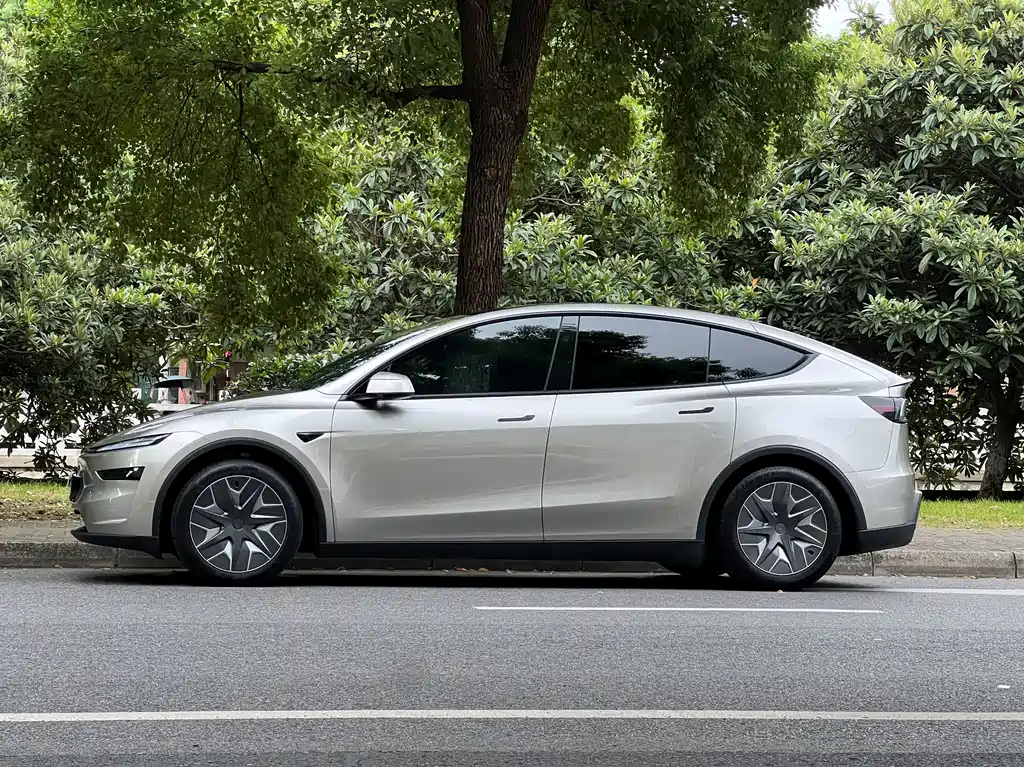 Tesla Model Y L — миниатюра 19