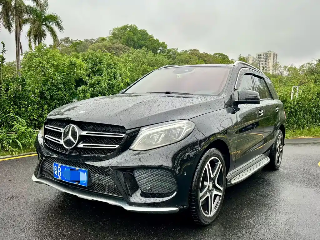 Mercedes-Benz 奔驰GLE(进口) 2017