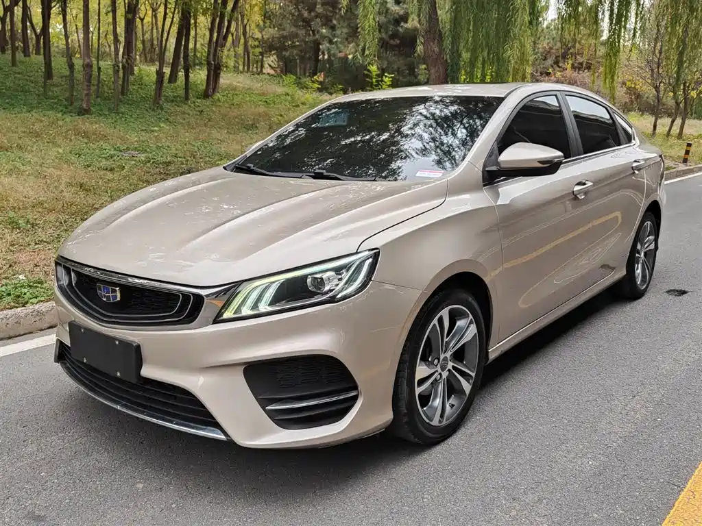 GEELY AUTOMOBILE BINRUI