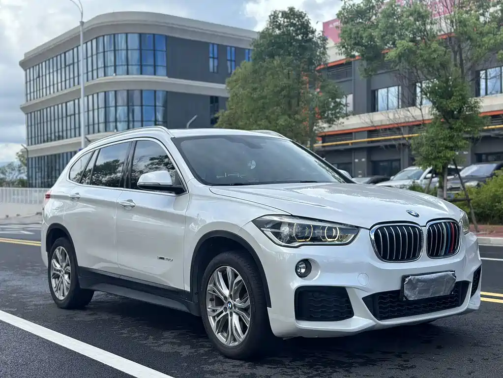BMW X1 2018 sDrive20Li Lead