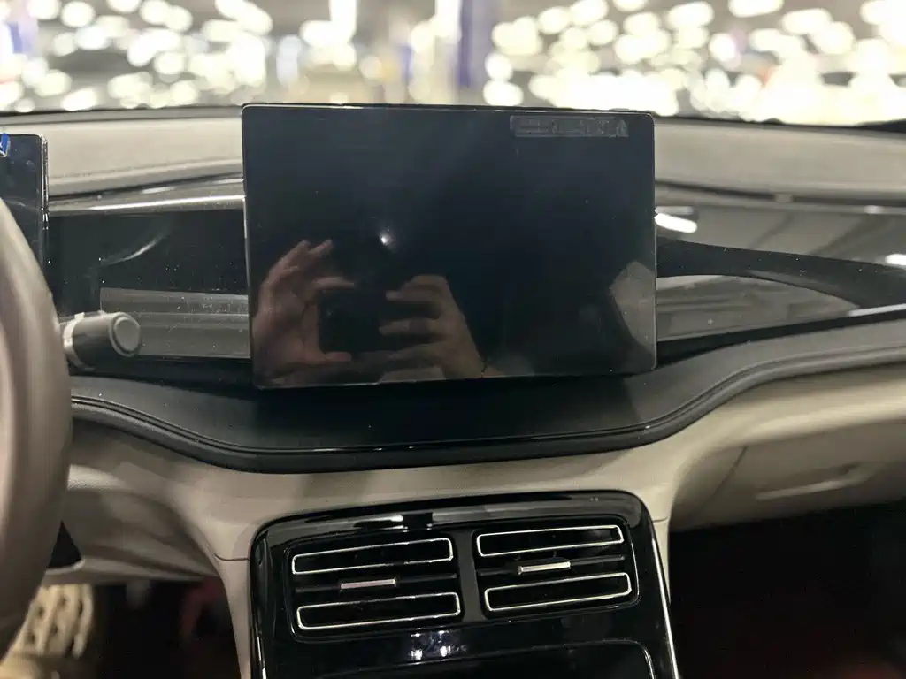 BYD Qin Plus PLUS 2023 Champion DM-i 55KM Lead