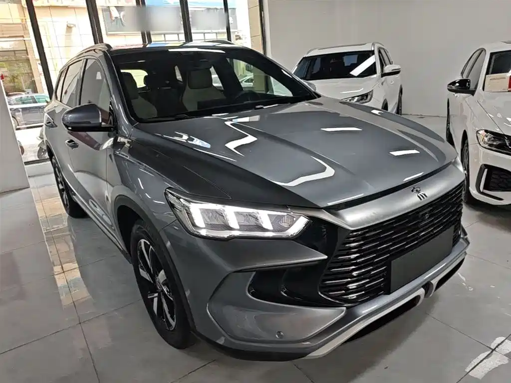 BYD Pro New Energy - фото 22