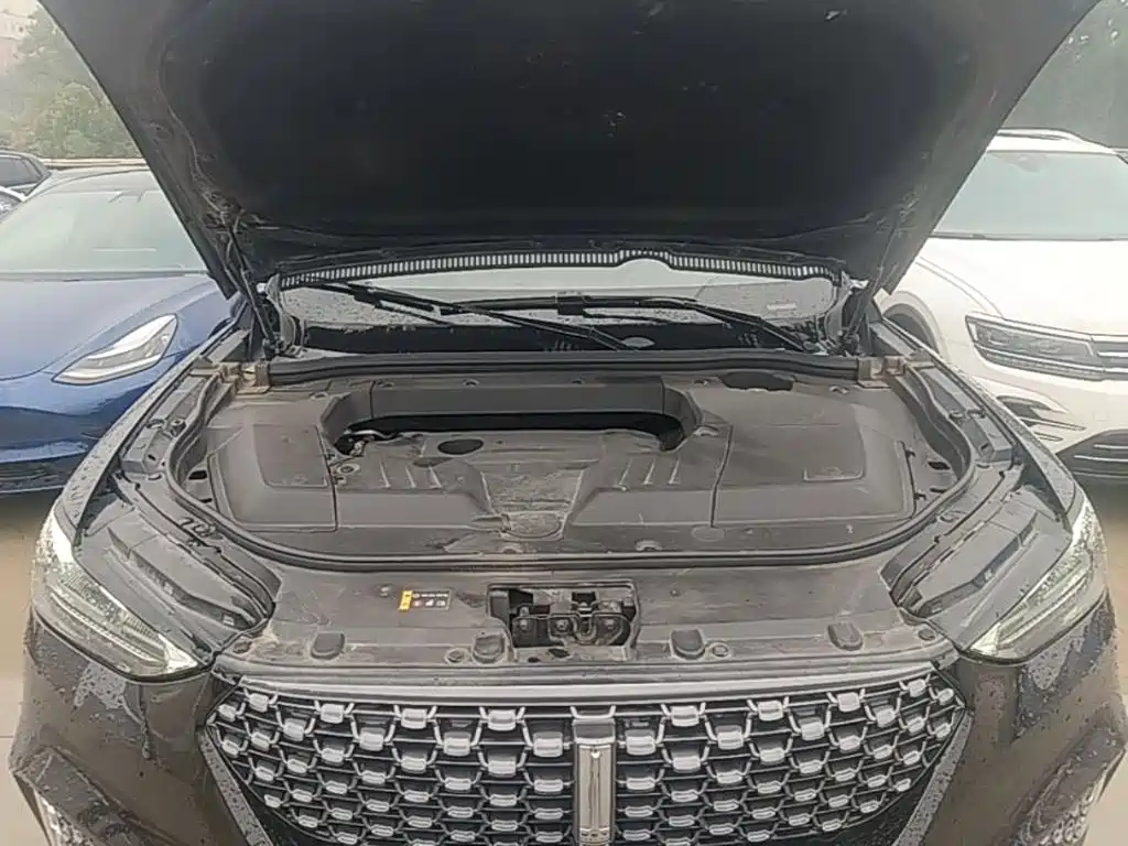 Wey Wey VV6 — миниатюра 20