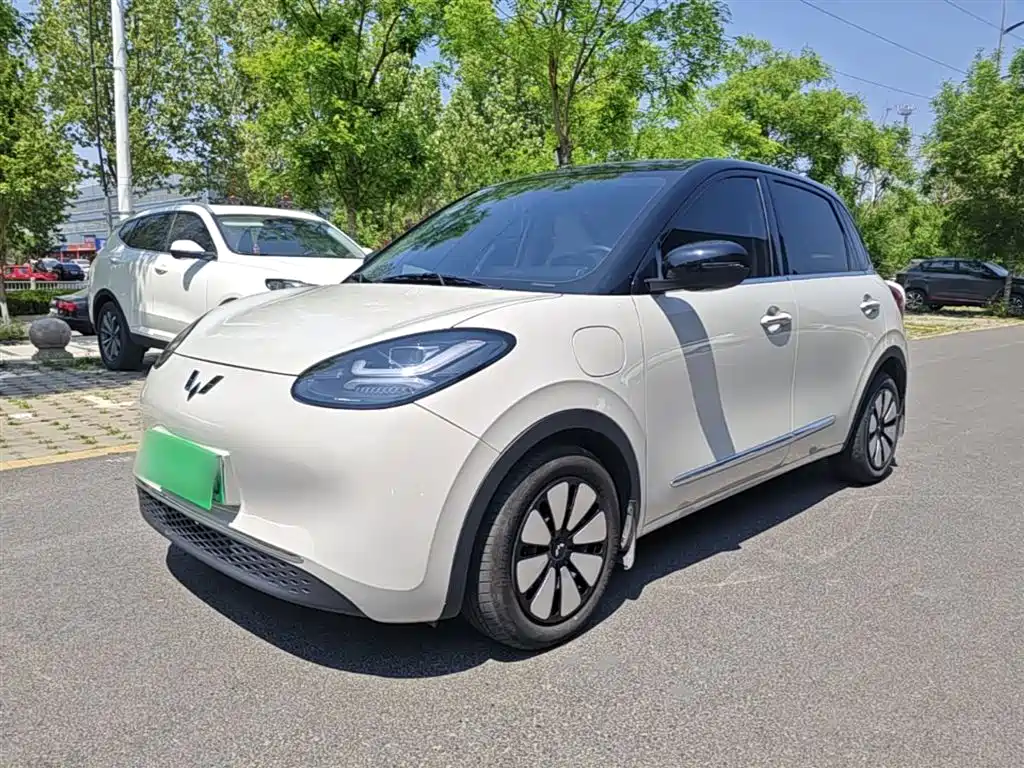 Wuling Bingo 2024