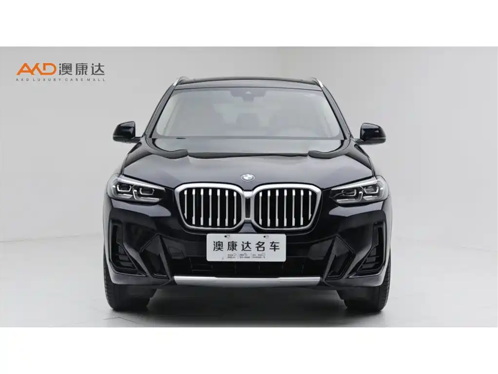 BMW X3 — миниатюра 2