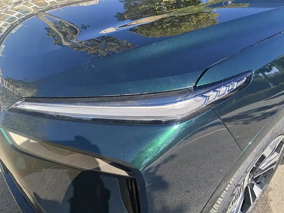 WEI PAI WEI BRAND BLUE MOUNTAIN