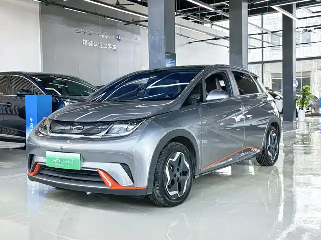 2022 BYD Dolphin