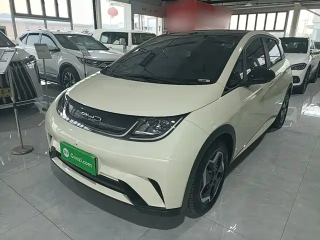 2022 BYD Dolphin