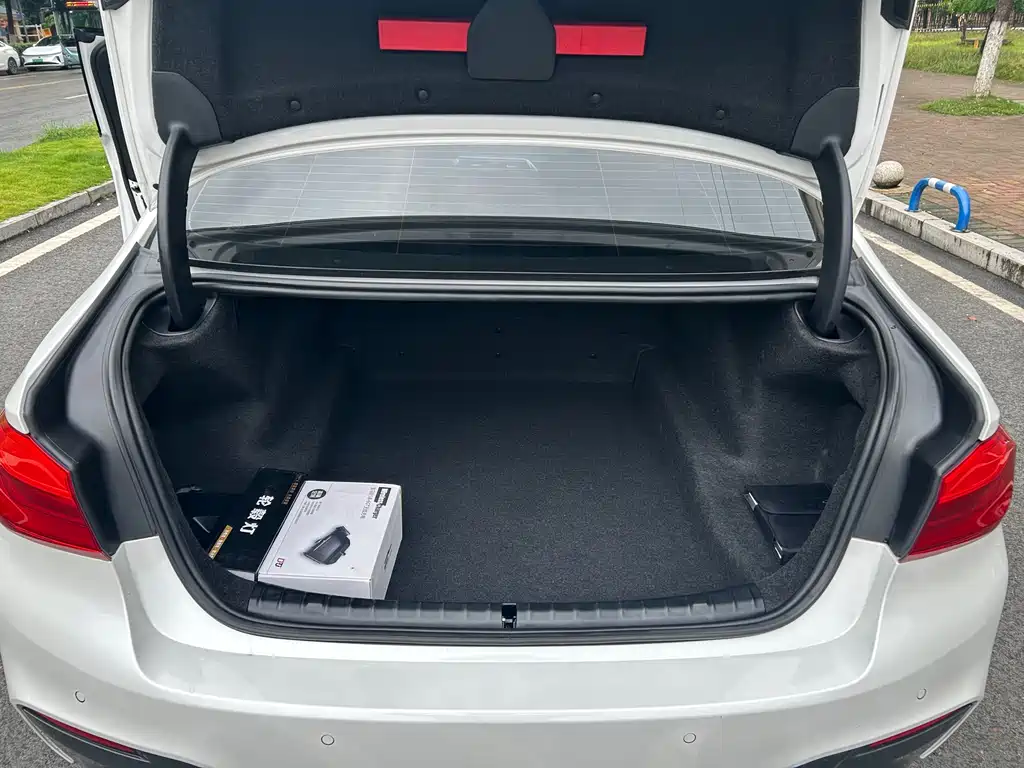 BMW 5 Series 5 2019 530Li xDrive M Sport