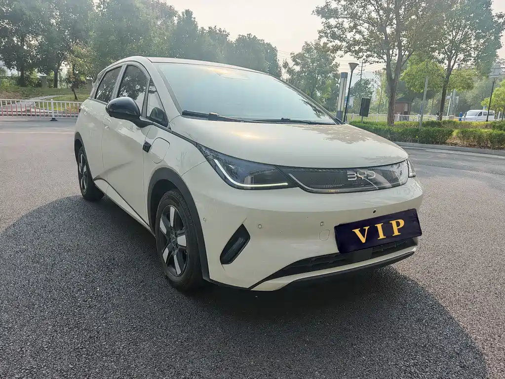 BYD Dolphin — миниатюра 3