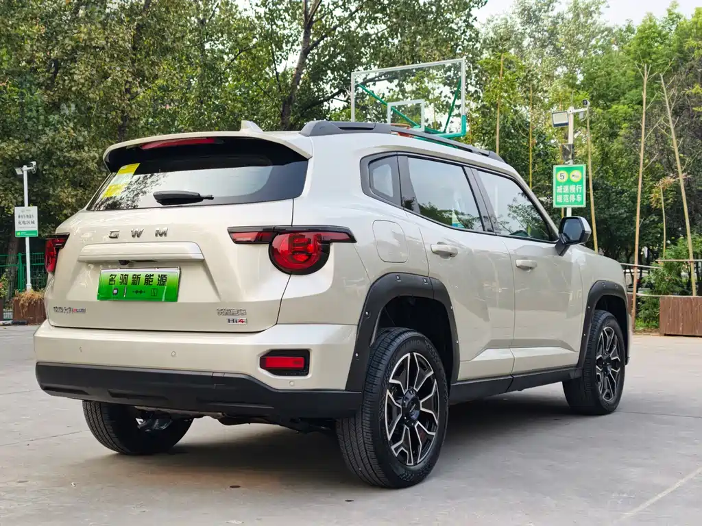 Haval Big Dog PLUS New Energy — миниатюра 6