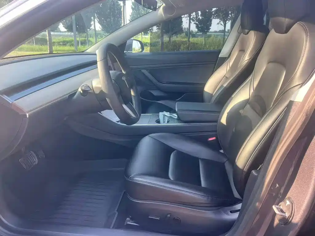 Tesla Model 3 — миниатюра 4