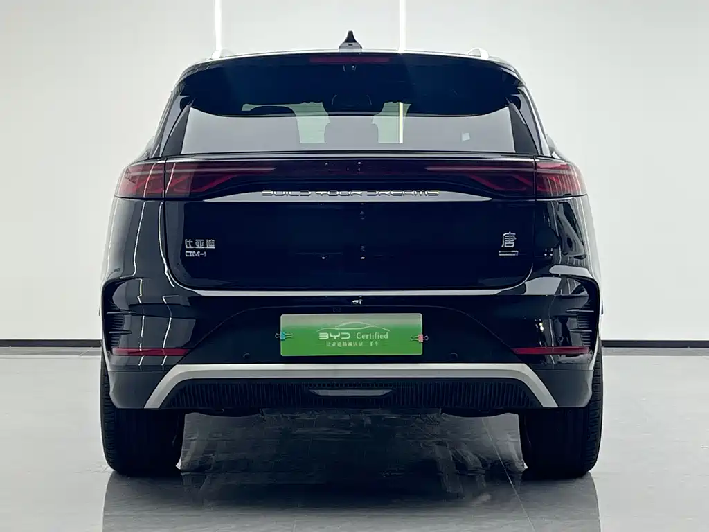BYD Tang 2025 Smart Drive DM-i 115KM Flagship