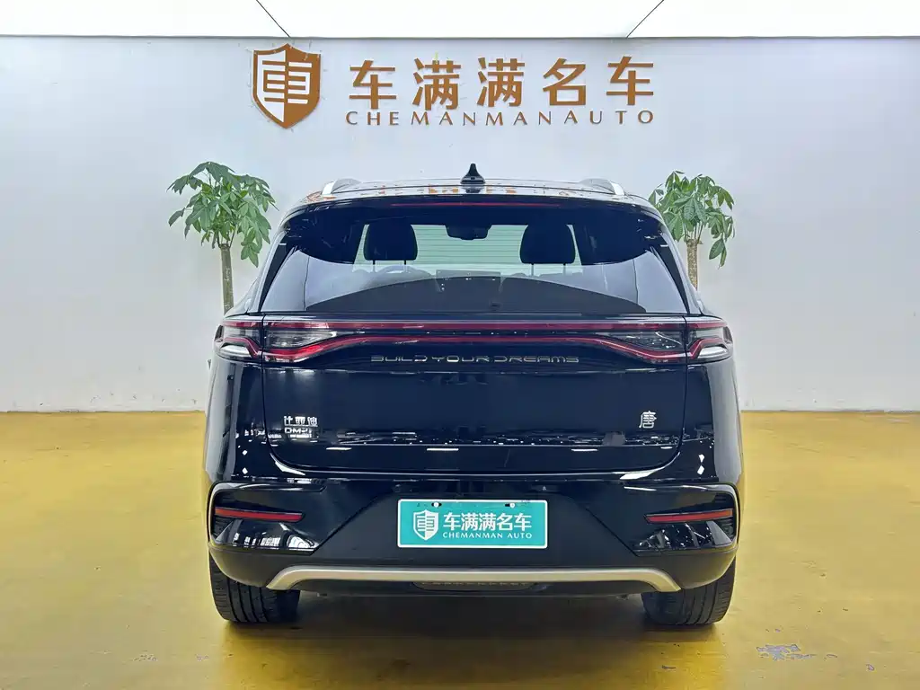 BYD Tang New Energy — миниатюра 10