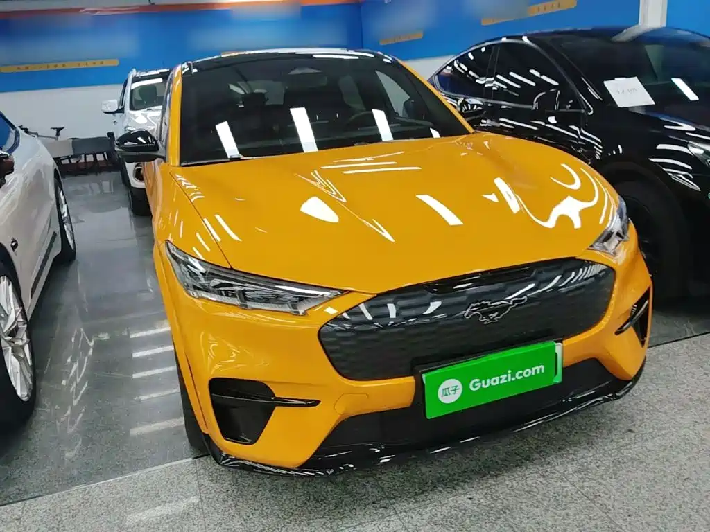 Ford Mustang Mach-E — миниатюра 4