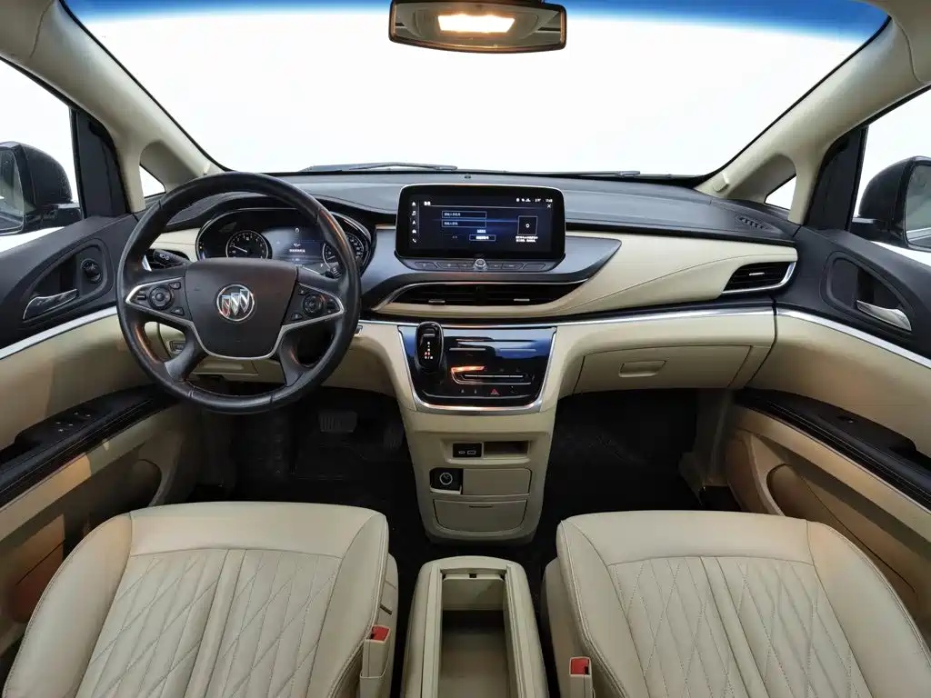 Buick GL8 — миниатюра 5