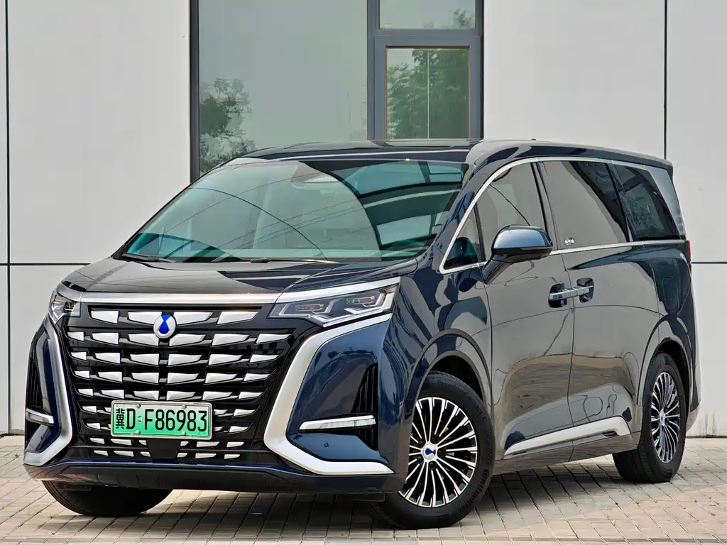 Denza D9