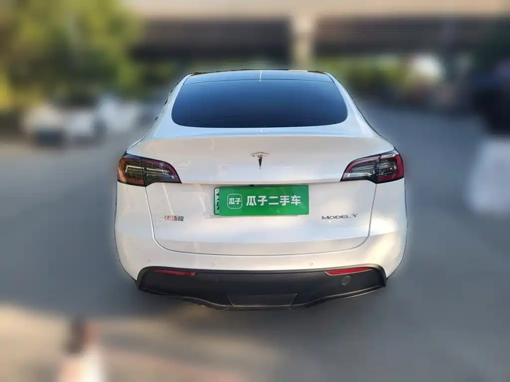 Tesla Model Y — миниатюра 3