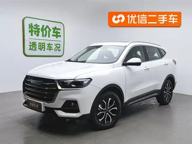 HAVAL  H6