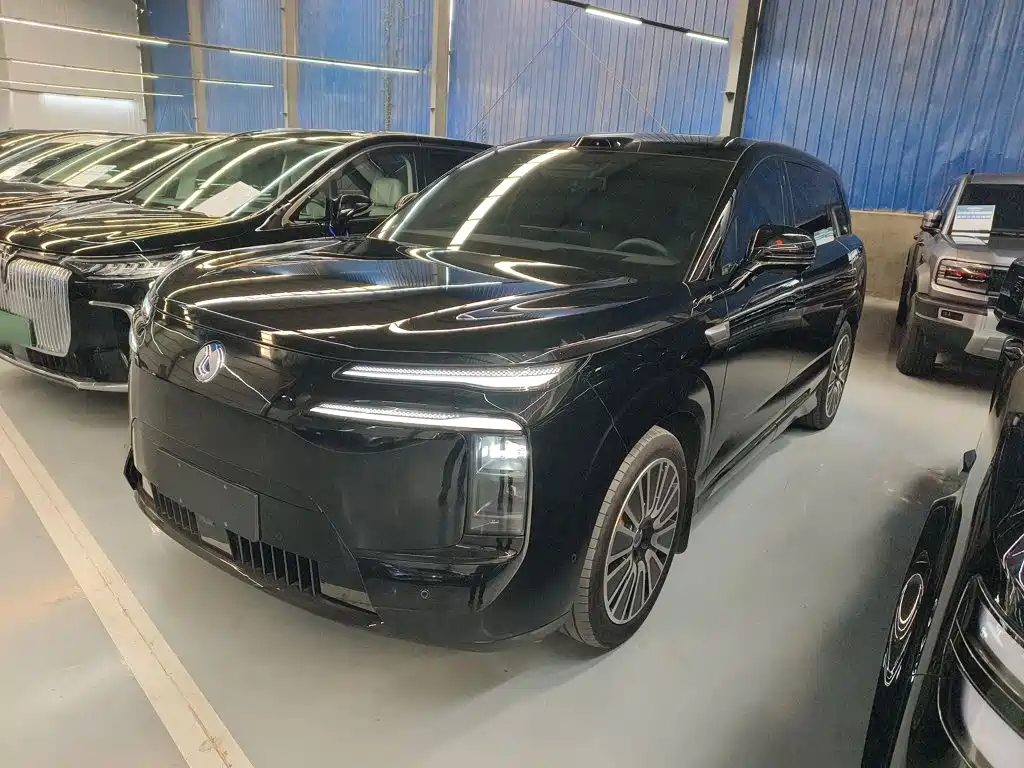 Denza Denza N8L — миниатюра 2