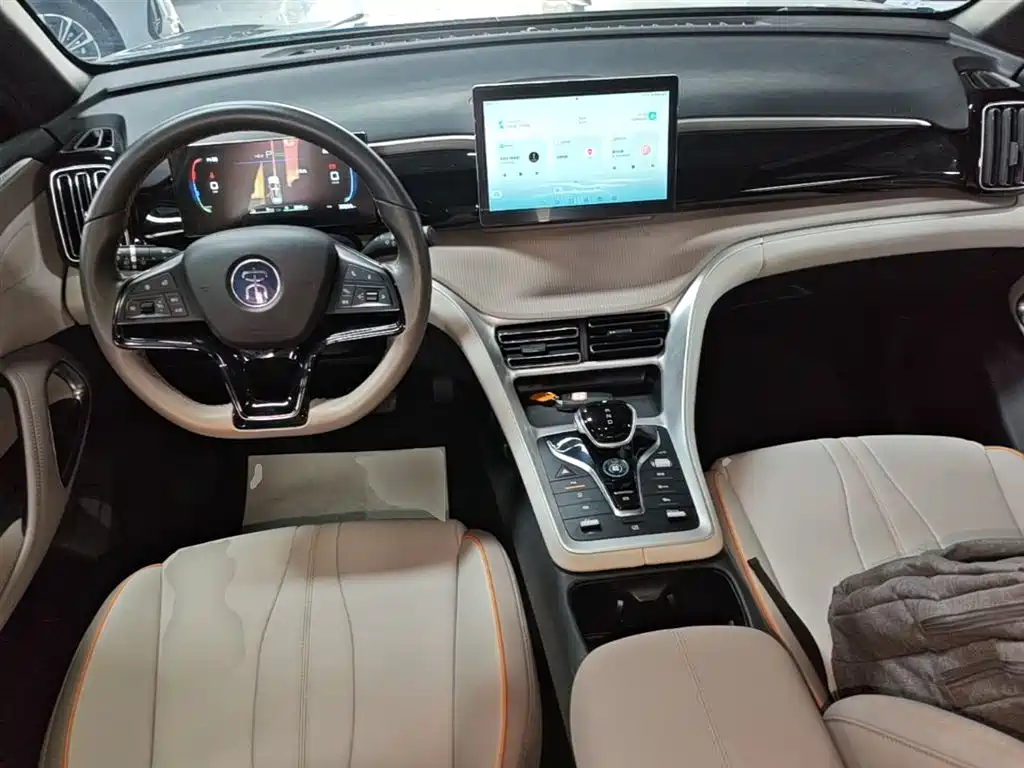 BYD Pro New Energy - фото 6