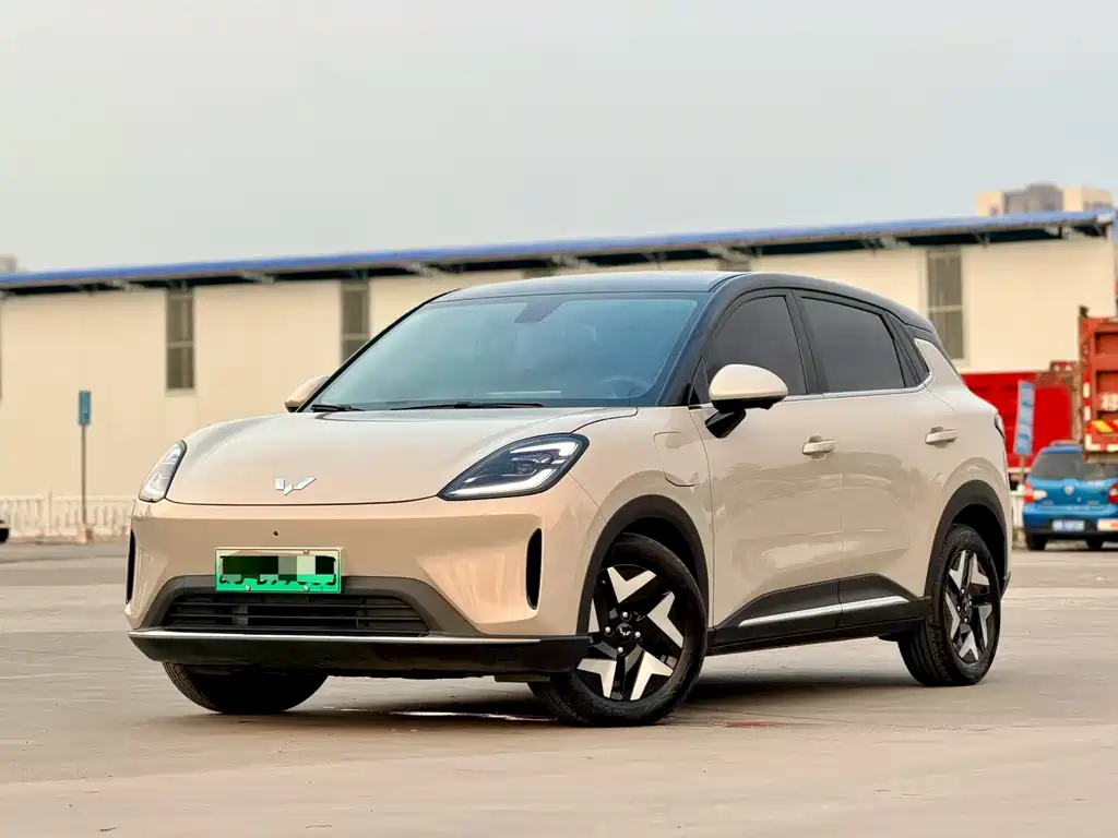 Wuling Bingo S