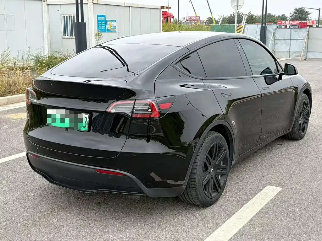 Tesla Model Y — миниатюра 7